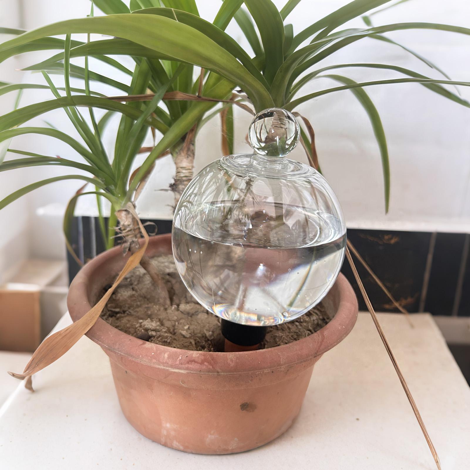 Plant Watering Bulbs 4pcs 500m - đánh giá và giá Automatic Plant Waterer