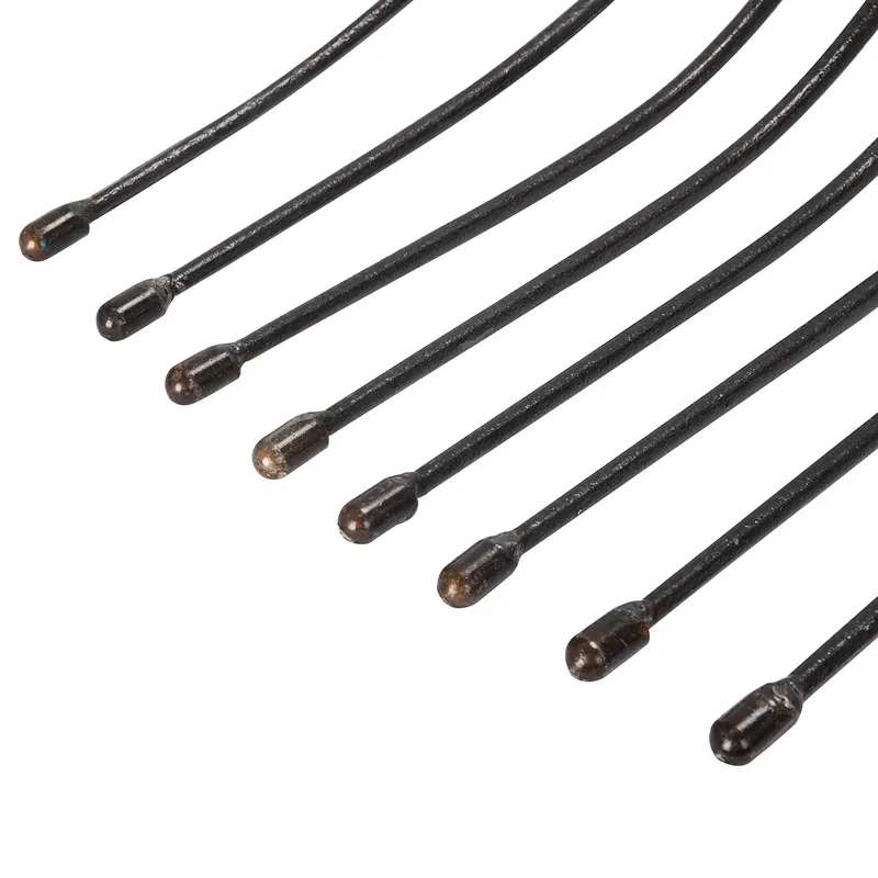 for Winslow & Ross 4 Teeth For - đánh giá và giá Spade Digging Fork